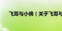 飛哥與小佛(關于飛哥與小佛的介紹)
