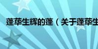 蓬蓽生輝的蓬(關于蓬蓽生輝的蓬的介紹)