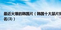 最近火爆的韓國片(韓國十大禁片排行榜韓國大尺度禁片排名(3))