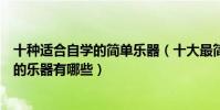 十種適合自學的簡單樂器(十大最簡單的自學樂器最易自學的樂器有哪些)