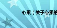 心累(關于心累的介紹)
