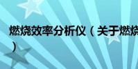 燃燒效率分析儀(關于燃燒效率分析儀的介紹)