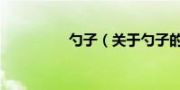 勺子(關于勺子的介紹)