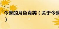 今晚的月色真美(關于今晚的月色真美的介紹)