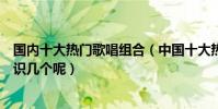 國內十大熱門歌唱組合(中國十大熱門男女歌唱組合你都認識幾個呢)