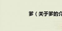 爹(關于爹的介紹)