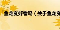 魚龍變好看嗎(關于魚龍變好看嗎的介紹)