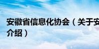 安徽省信息化協會(關于安徽省信息化協會的介紹)