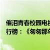 催淚青春校園電視劇排行榜前十名（最火校園青春電視劇排行榜：《匆匆那年》上榜第一講述暗戀）