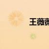 王薇薇（關于王薇薇的介紹）