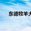 東德牧羊犬（關于東德牧羊犬的介紹）