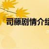 司藤劇情介紹（關于司藤劇情介紹的介紹）