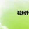 獨鳳軒（關于獨鳳軒的介紹）