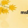 msh（關于msh的介紹）