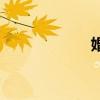 婚（關于婚的介紹）
