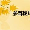 參茸鞭丸（關于參茸鞭丸的介紹）