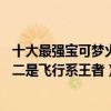十大最強寶可夢火系（十大最強飛行系寶可夢BUG燕上榜第二是飛行系王者）