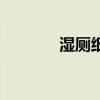 濕廁紙（關于濕廁紙的介紹）