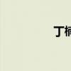 丁楠（關于丁楠的介紹）