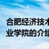 合肥經濟技術職業學院（關于合肥經濟技術職業學院的介紹）