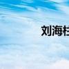 劉海柱（關于劉海柱的介紹）