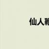 仙人鞭（關于仙人鞭的介紹）
