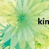 kim（關于kim的介紹）