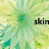 skim（關于skim的介紹）