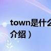town是什么意思（關于town是什么意思的介紹）