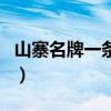 山寨名牌一條街（關于山寨名牌一條街的介紹）
