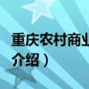 重慶農村商業銀行（關于重慶農村商業銀行的介紹）