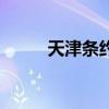 天津條約（關于天津條約的介紹）