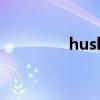 hush（關于hush的介紹）