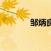 鄒炳良（關于鄒炳良的介紹）
