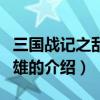 三國戰記之亂世梟雄（關于三國戰記之亂世梟雄的介紹）
