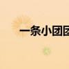 一條小團團（關于一條小團團的介紹）