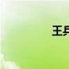 王兵（關于王兵的介紹）