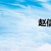 趙信（關于趙信的介紹）