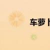 車蘿卜（關于車蘿卜的介紹）