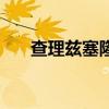 查理茲塞隆（關于查理茲塞隆的介紹）