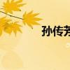 孫傳芳（關于孫傳芳的介紹）