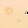 nf（關于nf的介紹）