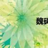 魏碑（關于魏碑的介紹）