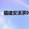 福建安溪茶葉（關于福建安溪茶葉的介紹）