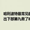 哈利波特最常見的話整理90條（哈利波特十大彩蛋：第三引出下部第九救了哈利波特一命）