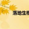 落地生根（關于落地生根的介紹）
