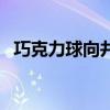 巧克力球向井（關于巧克力球向井的介紹）