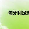 匈牙利足球（關于匈牙利足球的介紹）