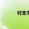 村支書（關于村支書的介紹）