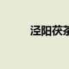 涇陽茯茶（關于涇陽茯茶的介紹）